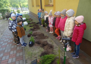 Przedszkolaki z Myślicieli przygotowane do sadzenia drzewek